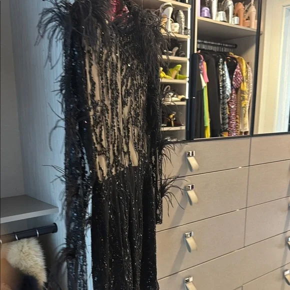 Black Feather Embellished Dress